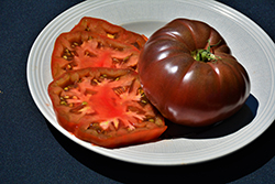 Cherokee Purple Tomato (Solanum lycopersicum 'Cherokee Purple') at Harvard Nursery